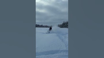 Silber Turbos Polaris Axys Muffler Comparison