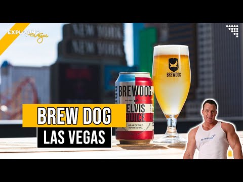 🎊 Brew Dog Las Vegas Rooftop Brewery
