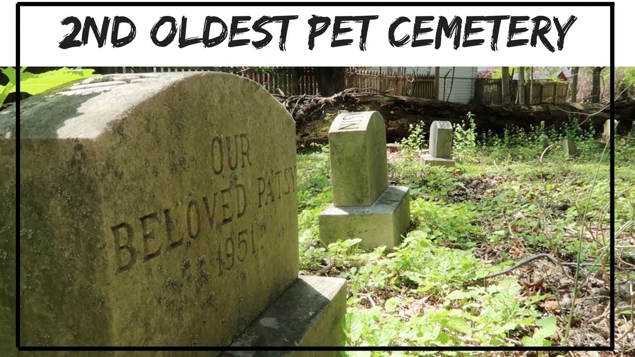 2nd Oldest Pet Cemetery 55,000+ Pets Buried Here Aspin Hill YouTube
