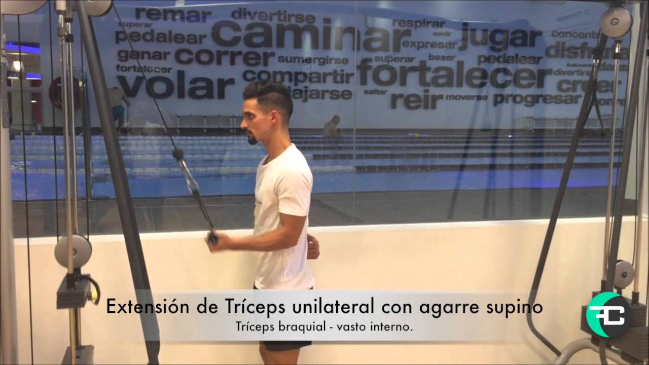 Extensión de Tríceps unilateral con agarre supino YouTube