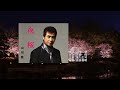 夜桜、唄:山川 豊さん、川 洋カバー