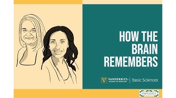 How the Brain Remembers