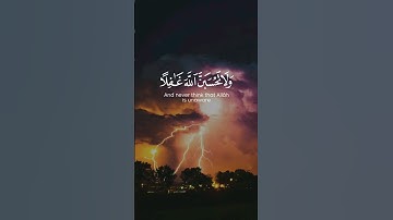 سورة أبراهيم الآية 42🌿