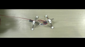 P39 (Chopsticker): A Minimal Model for Body-limb Coordination in Quadruped Locomotion