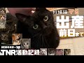 [妊婦猫保護]美しい黒猫マミ、お腹に６匹の赤ちゃん！出産前日までの様子と[TNR活動]2024年2〜3月の記録。