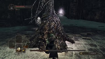 Dark Souls 2 SL1 CoC no rolling/blocking/parrying Nashandra