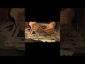 pov: crinkly paper asmr that gives you tingles #triggersforsleep #asmrvideos #oddlysatisfyingvideos