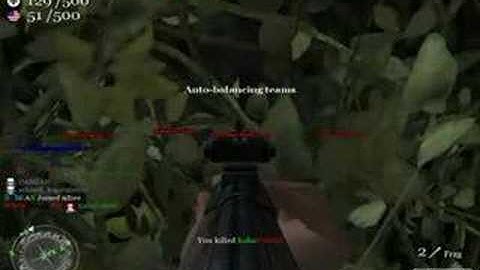 CoD2 aimbot