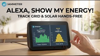 How to view IAMMETER energy data on Alexa?
