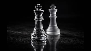 Cognitive Arbitrage: 10 Structural Divergences in Capital Management Profile