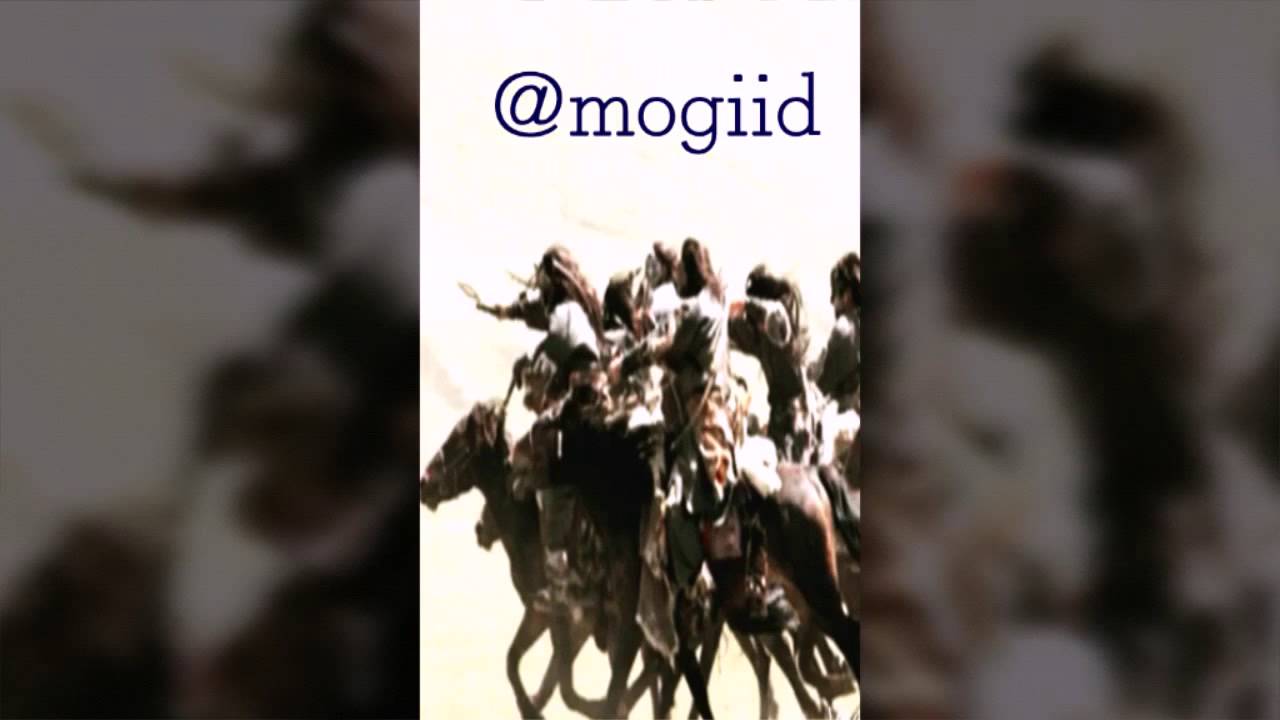 شيلة لولا سبيع أظن مابه مملكة