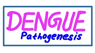Dengue - Pathogenesis