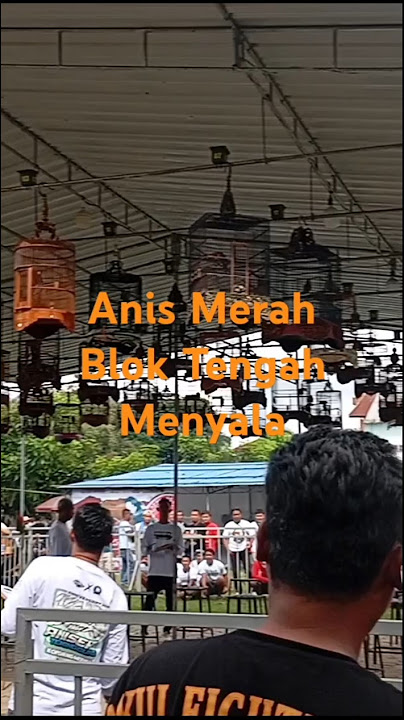 Anniversary Anisers Temanggung feat JIB #kicaumania #Anisers Temanggung #anismerahofficial
