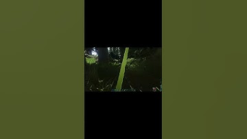 HOW TO TAME A MESOPITHECUS! ARK FJORDUR! #shorts