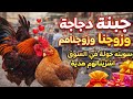 جبت دجاجة جديدة للديج وزوجناهم وسويت إلها عش للبيض وجولة بالسوق واشتريت أغراض للبيت
