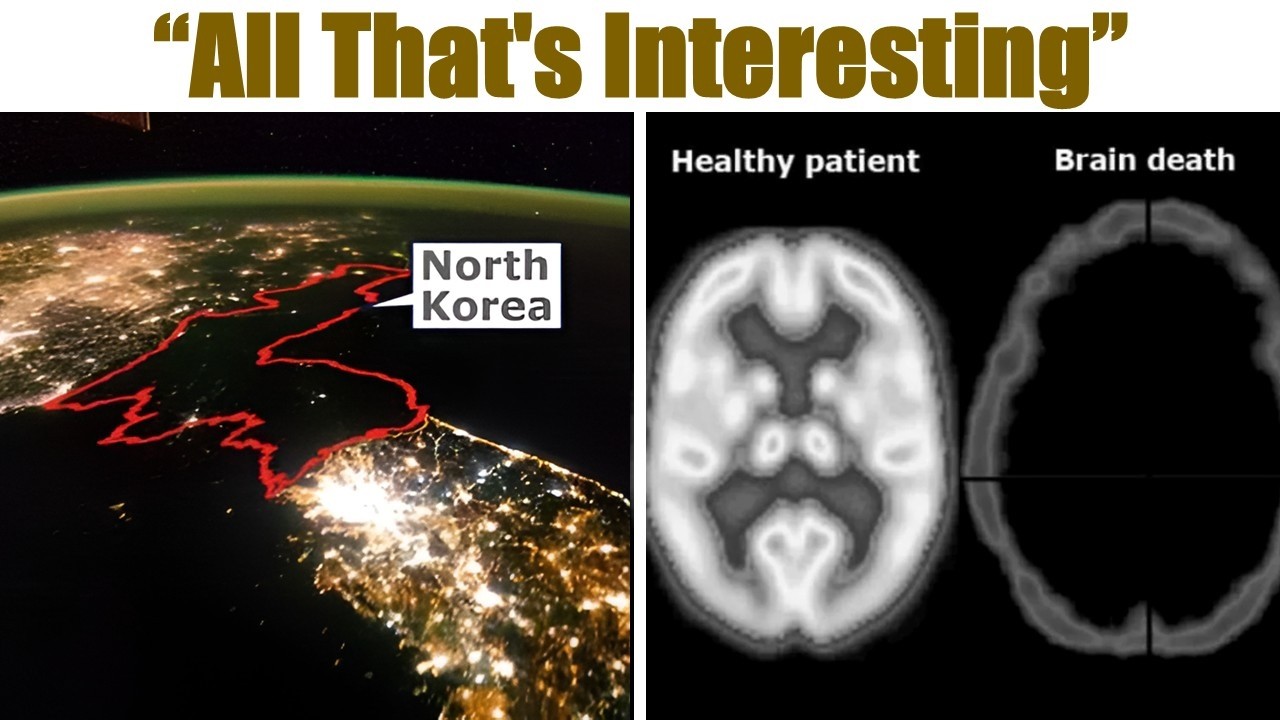 “All That's Interesting”: Something Interesting That Will Keep You Hooked