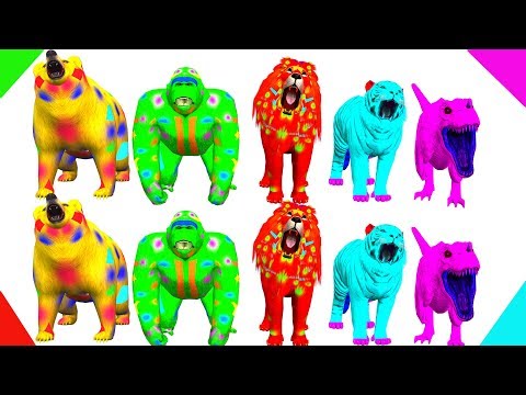 Wild Animals Finger Family Song For Kids Learn Colors For Children Toddlers Gorilla NASH TOON Tv