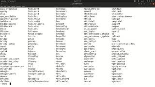 Linux tab completion of ls