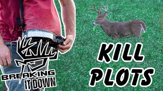 How To Set Up A Kill Plot For Whitetails