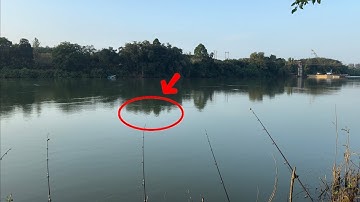 #fishing #câucá . Sông đồng nai gần cửa xả hồ trị an vừa xuống cần đụng cá trôi 