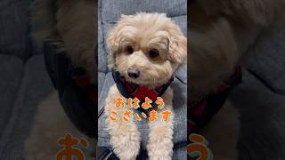 嵐がくる日も雪かなぁ？北海道の暮らし。