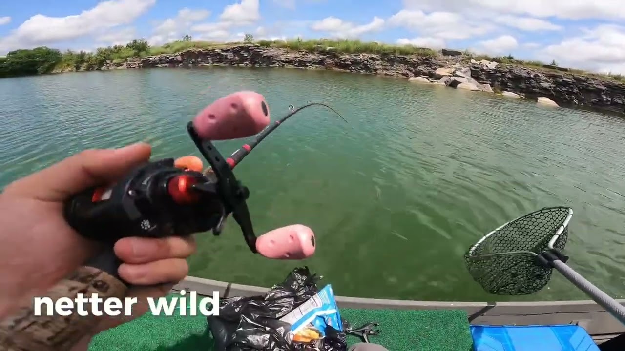 RATTLE TRAPS for SUMMER BASS #bassfishing #abugarcia #shimano #yozuri
