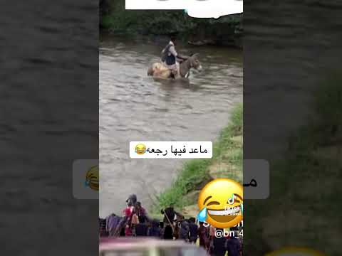 صحاب الجيب المطر السعودية اليمن ماعدبها رجعه