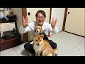 飼い主あるある29個あげるまで終われませんLIVE🐾🍖