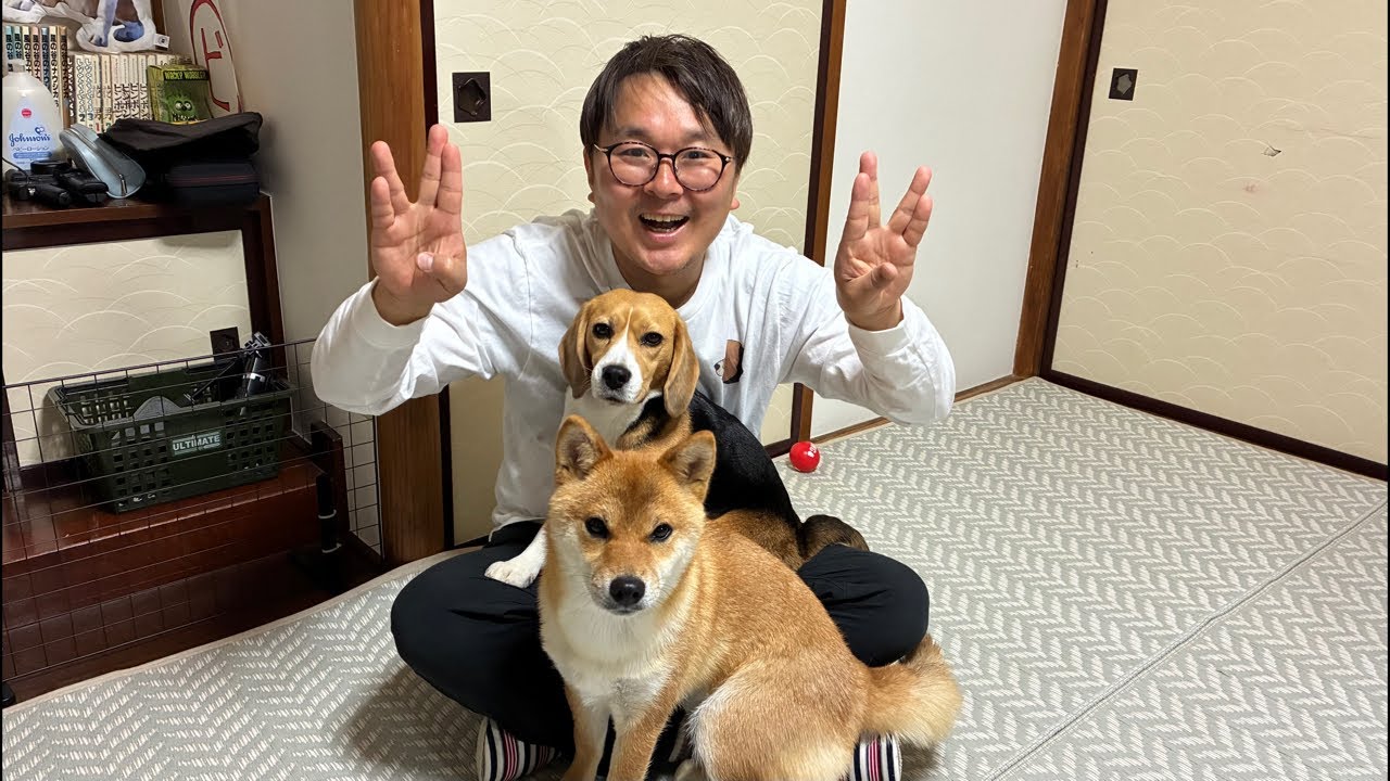 飼い主あるある29個あげるまで終われませんLIVE🐾🍖