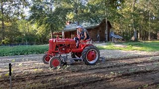 Farmall Cub Plowing Peas with Lay Off Sweeps