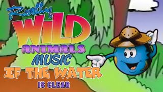 If The Water Is Clear Really Wild Animals Music Deep Sea Dive
