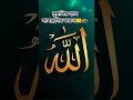 আল্লাহ তুমি সবাইকে মাফ করে দাও🤲🕋 #shortvideo #viral #islamicvideo