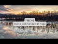 FISCHE ♓️ Deine kommenden 14 Tage• Energiewechsel. Welcher Schatten darf weichen?