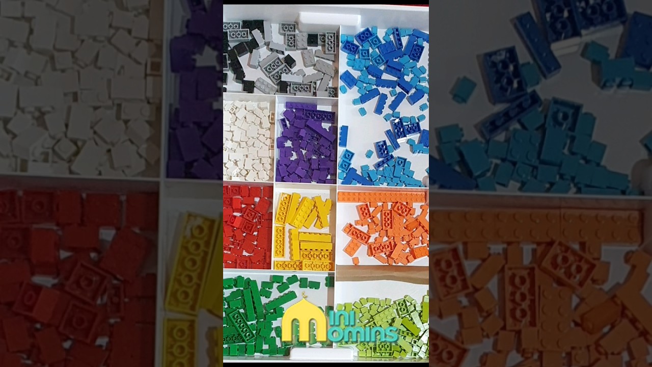 learning organisation 