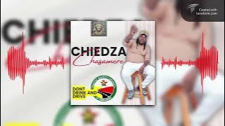 Chief Shumba Hwenje - Usavhunduka ( Official Audio )