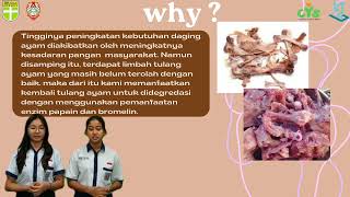 Studi Efektivitas Enzim Papain vs Bromelin dalam Mendegrasi Protein Tulang Ayam