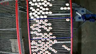 Celebrity Camera based egg counter for conveyor systems with an accuracy of 99.9% Profile