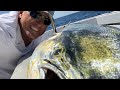 LUCKIEST Bull Dolphin, EVER!!! {Catch Clean Cook} Family Picnic at The Beach!