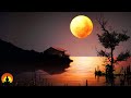 🔴 Relaxing Sleep Music 24/7, Calm Music, Yoga, Sleep Meditation, Insomnia, Spa, Study Music, Sleep