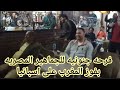 فرحه جنونيه للجماهير المصريه على المقاهي وتفاعلها بعد صفاره الحكم واعلان فوز المغرب على اسبانيا