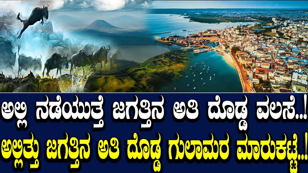 ಅಲ್ಲಿ ನಡೆಯುತ್ತೆ ಜಗತ್ತಿನ ಅತಿ ದೊಡ್ಡ ವಲಸೆ.! ಅಲ್ಲಿತ್ತು ಜಗತ್ತಿನ‌ ದೊಡ್ಡ ಗುಲಾಮರ ಮಾರುಕಟ್ಟೆ.! Great Migration