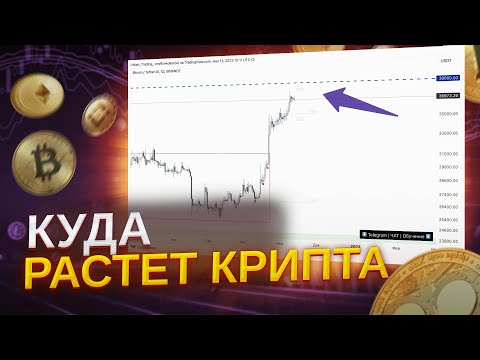 Заключения возьмите нередко задаваемые темы клиентов DotBig