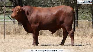 Lot 53 Greenup Westpoint W10 (P)