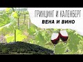 Винная экскурсия в Австрии |  Винный тур | История Гринцинг и Каленберг