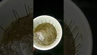 Download Lagu OGUN ASETA TOGBONA JANJAN#viral#money#montage# / 07064294474 MP3