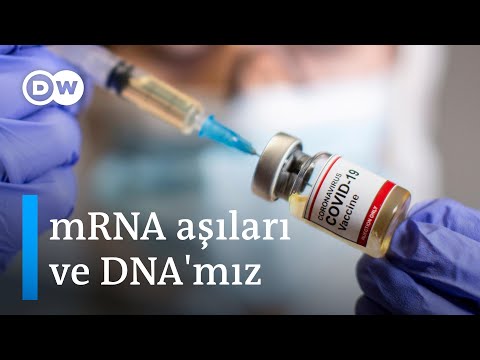 mRNA aşıları DNA&rsquo;mızı neden etkilemez? - DW Türkçe