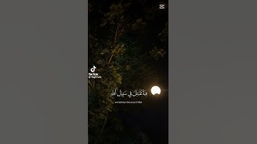 تلاوه خاشعه للشيخ عبدالرحمن مسعد #قران_كريم #اكسبلور #المصحف