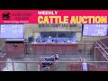 BENTON COUNTY SALE BARN | Weekly All-Class Cattle Auction #ArkansasCattle #cattleprices | 6.11.26