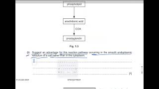 9700/22/F/M/24 | Part 1 | AS Level Biology