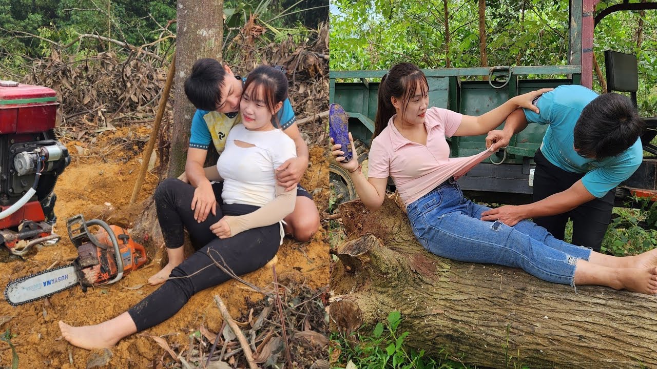 Full video of 230 days: Agricultural vehicles transporting timber to the wood mill.